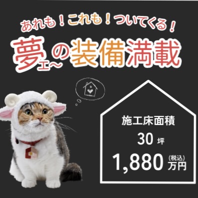 新品未使用】夢ねこ セレブ
